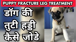 पिल्ले के पैर में फ्रैक्चर | टूटा हुआ | चोट | दर्द | उपचार | रिकवरी | समाधान | हिंदी में screenshot 2