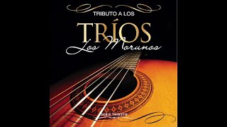 4. No me Quieras Tanto - Los Morunos - Serie Tributo a Los Tríos