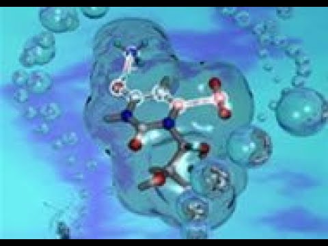 Vídeo: Composição Química Completa Da Groselha