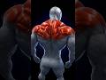 Top 4 exercise for wilder shoulder #excrize #gym #health #viral