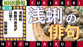 浅蜊の俳句　NHK俳句ふりかえり
