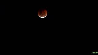 Lunar Eclipse Approx..390,000Km ....Cloud Permitting ...Canon Camera..