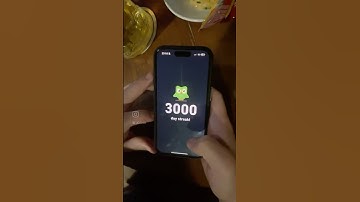 3000 day duolingo streak in german course in Germany
