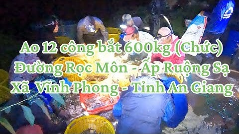 Ao 12 công bắt 600kg tại Đường Rọc Môn - Ấp Ruộng Sạ - Xã Vĩnh Phong - Tỉnh An Giang (Chức)