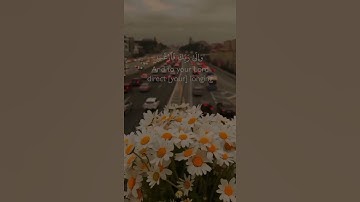 فان مع العسر يسرا 💙🤲 إسلام صبحي سورة الشرح 🦋