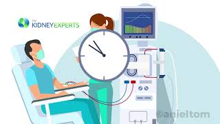 Kidney Health 101: Hemodialysis Explained