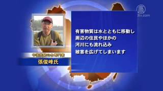 中国の養豚場で大量6000トンの有害物質発見【禁聞】 20160320