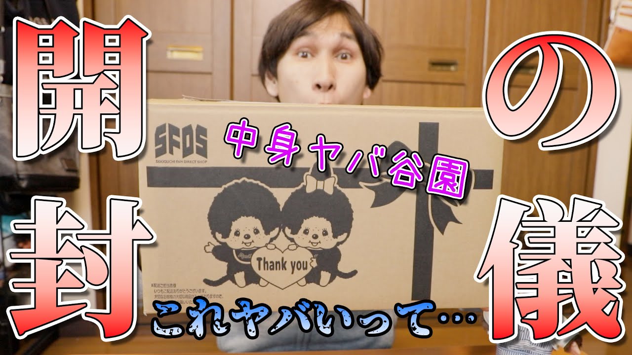 桁違い！モンチッチのキャンペーン賞品を開封したら常軌を逸していた件