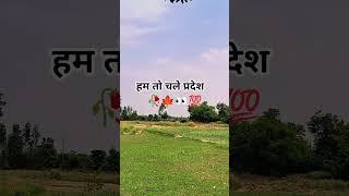 hum too chsle Pardes kamne √💯 youtube shorts video -like 👍 subscribe