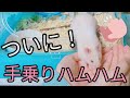感動!!捨てハムスターコロ吉が心を開いてくれた!?