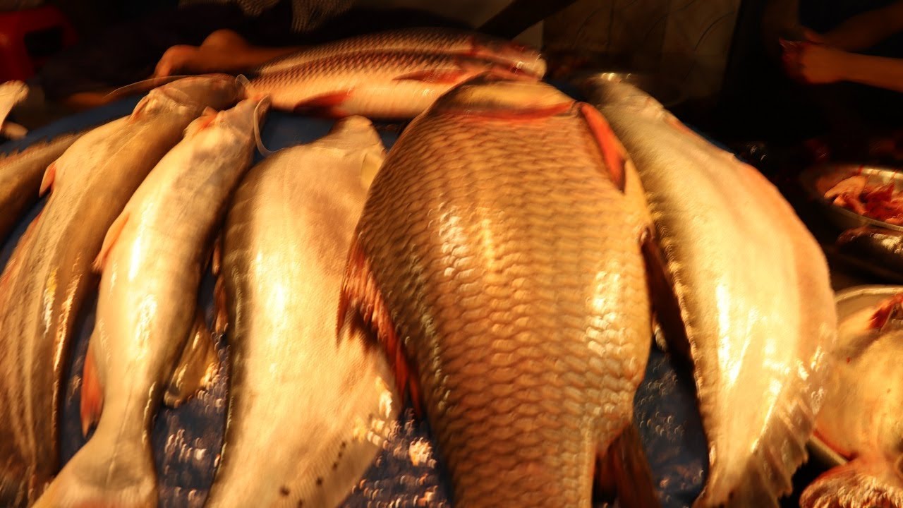 Amazing Rohu Fish Cutting || Incredible Big Rohu Fish Cutting Videos || Huge Rohu In Fish Market