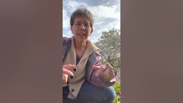 A Minister's Message from Rev. Karen Hering
