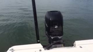 Triton 260 LTS on the water