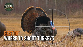 Where to Shoot a Turkey | BEST OF HUNTING Compilation