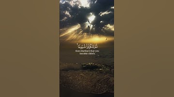تلاوة خاشعة بصوت عبيدة موفق