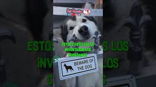 Origen del cartel CUIDADO CON EL PERRO #shorts #dogs #adoptanocompres #petlovers #perros Origen del cartel CUIDADO CON EL PERRO #shorts #dogs #adoptanocompres #petlovers #perros