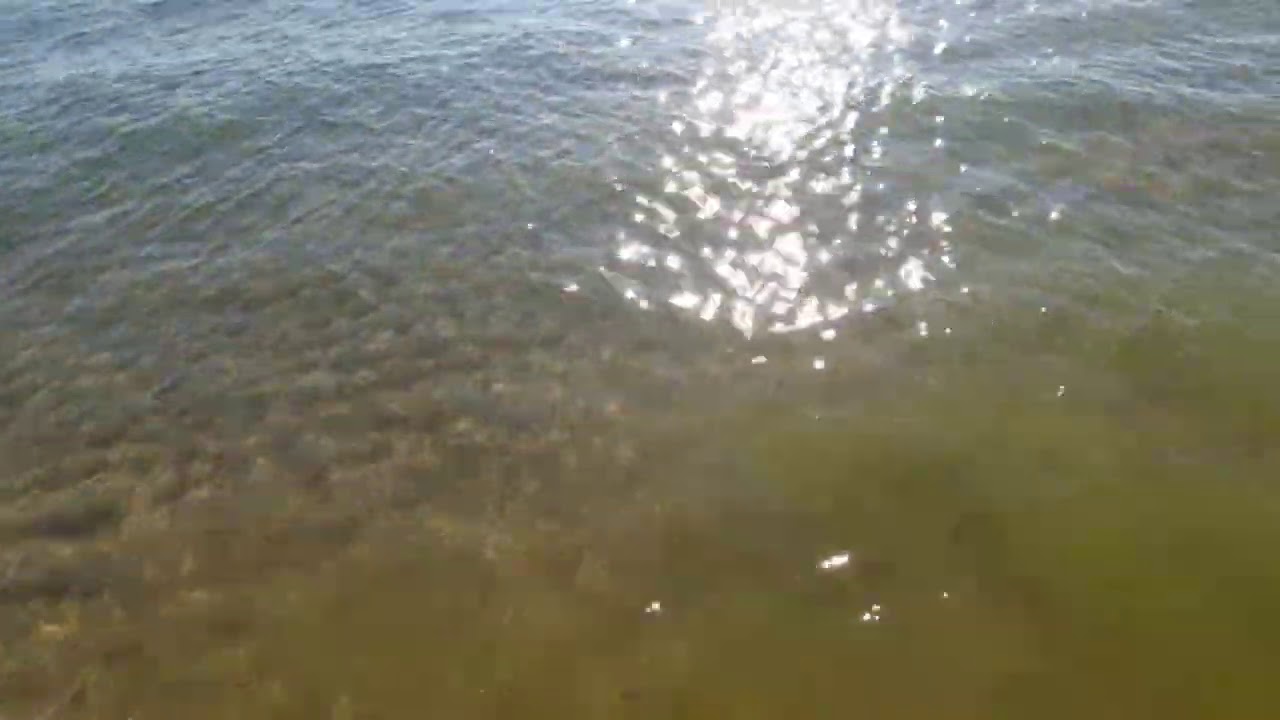 Гостевой дом витязево видео. Гостевой дом витязево видео