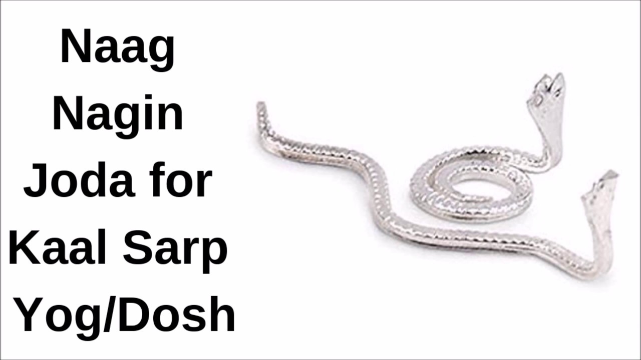 Buy Naag Nagin Joda Online Kaal Sarp Dosh Yog Nivaran Original buy-naag-nagin-joda-online-kaal-sarp-dosh-yog-nivaran-original