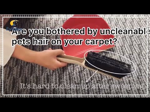 Eyliden carpet sweeper👀
