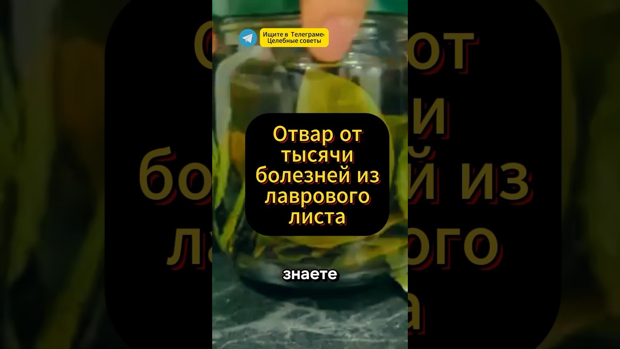 Отвар из лаврового листа от тысячи болезней, пью и никогда не болею #медицина #здоровье #зож