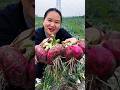 I never thought onions would be so beautiful and big | Amazing Onion 🧅🧅 harvesting #onion #farming