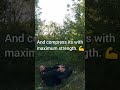 real fight with bear, wolf or any big animal. #bear #wolf #selfdefense #animals #beast #predator