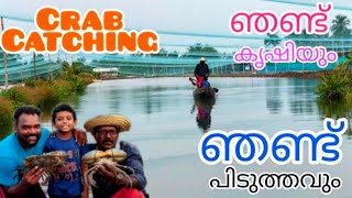 ഞണ്ട് കൃഷിയും ഞണ്ട് പിടുത്തവും crab farm and crab catch