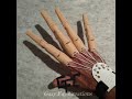 Articulated fingers