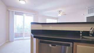 Acappella Pasadena Apartments - Pasadena - Plan C - Unit 323