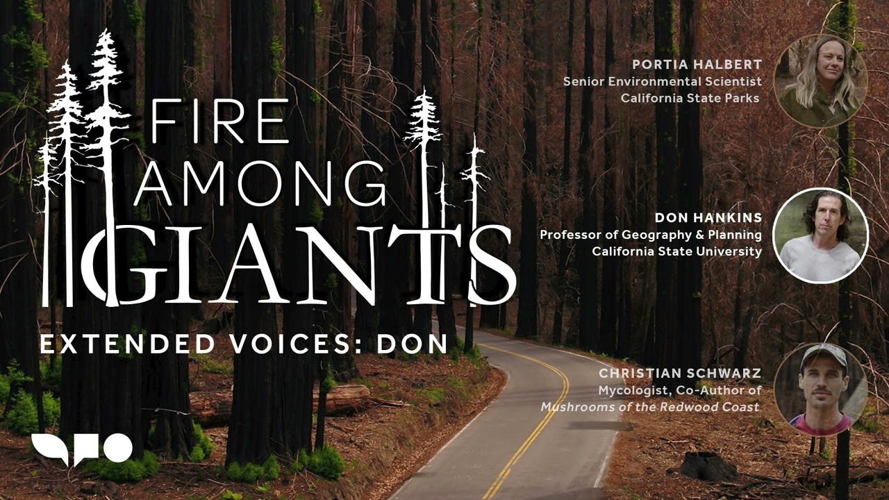 Fire Among Giants: Extended Voices Podcast — Don Hankins