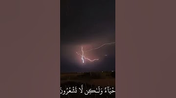 جزء 1 | ﴿ فَاذْكُرُونِي أَذْكُرْكُمْ وَاشْكُرُوا لِي وَلَا تَكْفُرُونِ﴾ [ البقرة: 152]  القارئ :