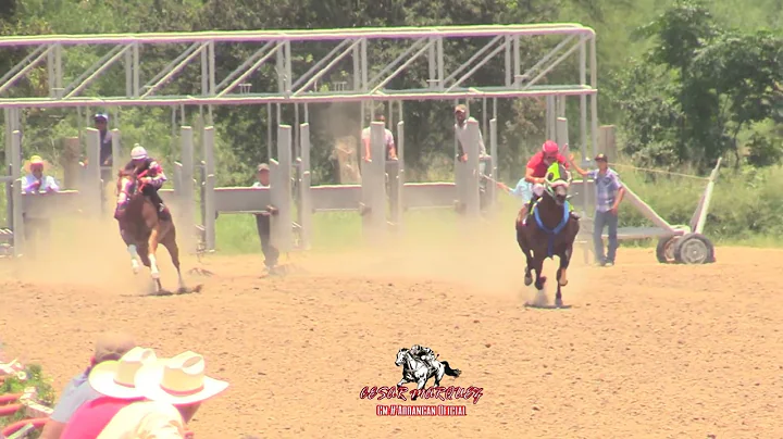 CUADRA SAN FRANCISCO  VS  CUADRA BORRADO  250 YDS