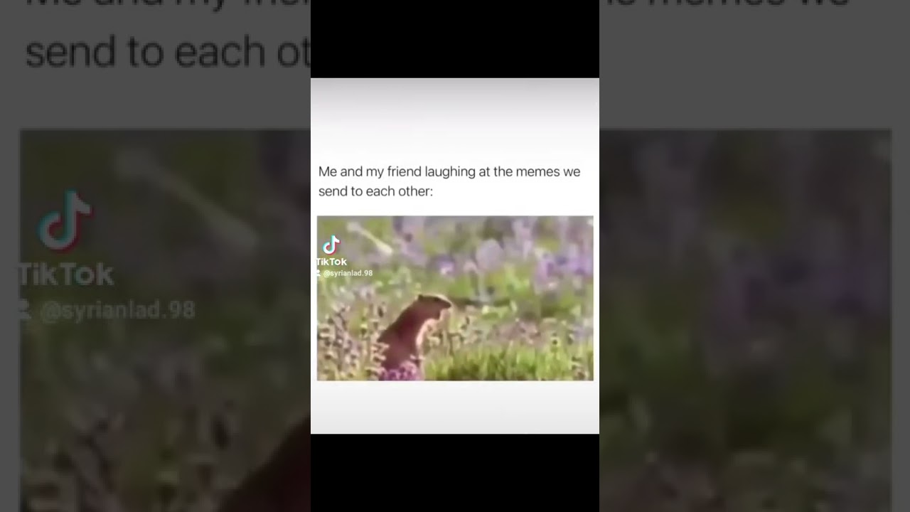 Midnight jokes, 2022 hilarious jokes, hilarious, kidding, joking, laughing, funny man.  🏃‍♂️🤣🤣🤣💣