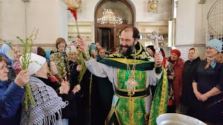 Освящение вербы на праздник входа Господня в Иерусалим. 2022