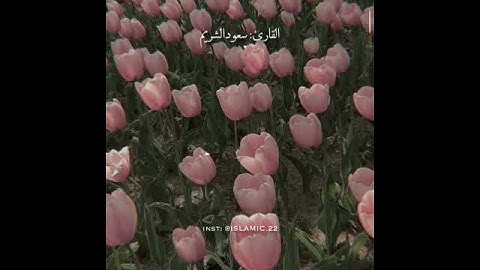 سورة آل عمران الآية 84 إلى 85