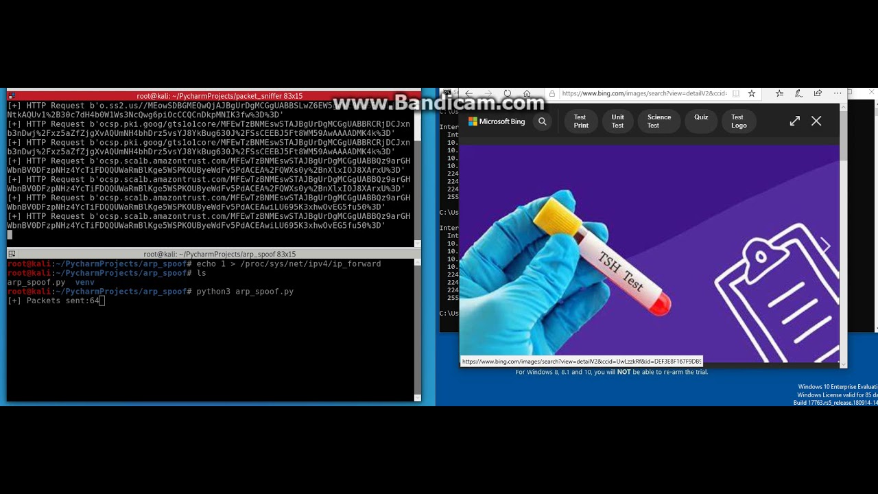 How to do Packet Sniffing with Python Script - YouTube