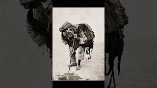 Hasreti̇n Beni̇ Yakiyor. Seyyi̇t Kasim