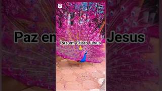 versículos do dia 🙏se escreva em nosso canal para mas vídeos 🙏