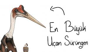 Eğer Bir Quetzalcoatlus Olarak Doğsaydın?