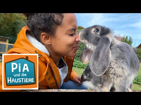 Video: Gibt es wilde Kaninchen mit Hängeohren?