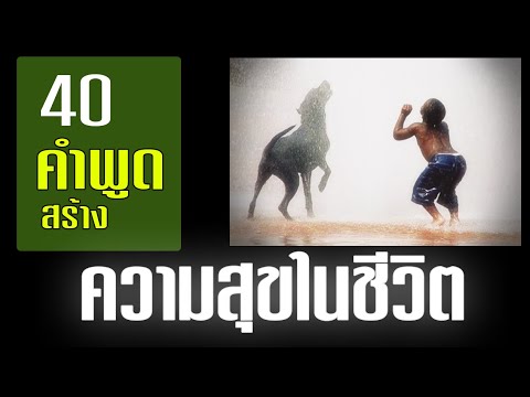 แคปชั่น แบบมีความสุข  New  คำคมความสุข l ใช้ชีวิตให้มีความสุข