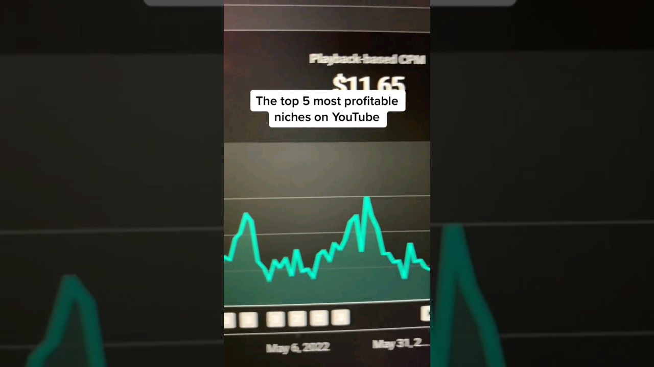 The top 5 most profitable niches on YouTube #youtubetips # ...