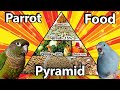 Pet Bird Food Pyramid | Topics