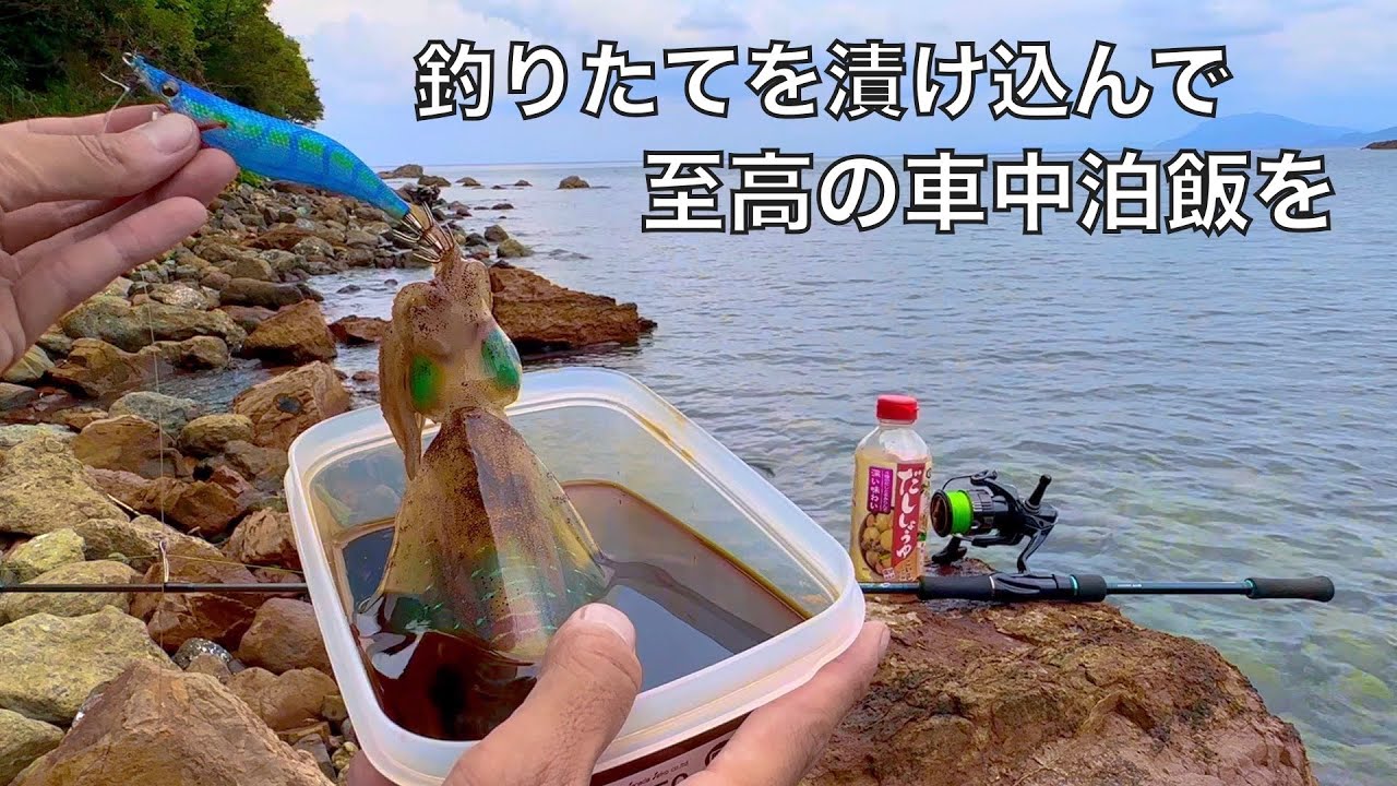 釣りたてのアオリイカを生きたまま漬け込んで、至高の車中飯を食べたい。