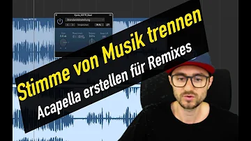 Wie entfernt man Musik aus einem Video?