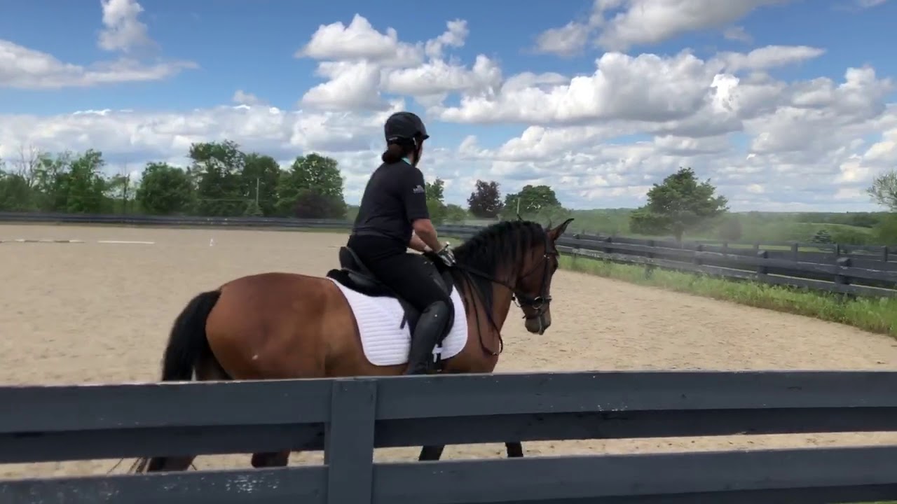 Natasha Sadoff and Elena USEF Training Test 2 YouTube