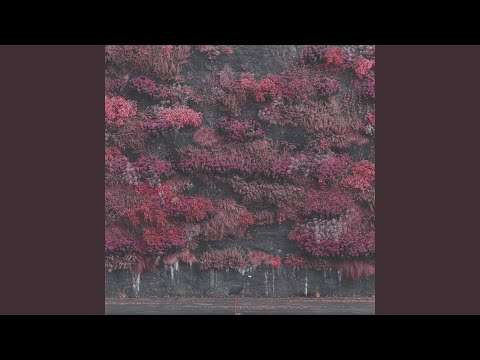 Music Video Preview