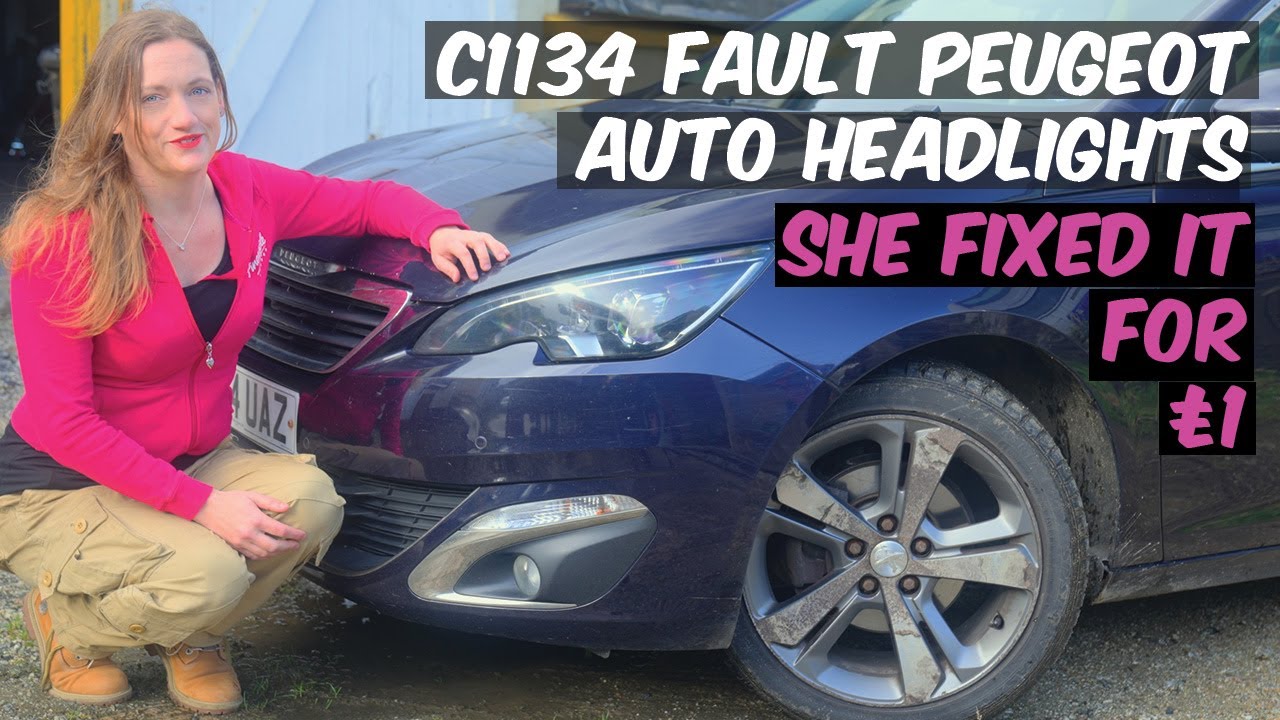 УСТРАНЕНО НЕИСПРАВНОСТЬ АВТОМАТИЧЕСКОЙ КОРРЕКЦИИ ФАР PEUGEOT CITROEN DS C1134