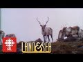 Land & Sea: Big Game Hunting in Newfoundland