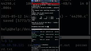 CVE-2017-16995